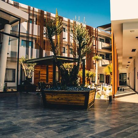 Hotel Mina Real Matehuala Kültér fotó